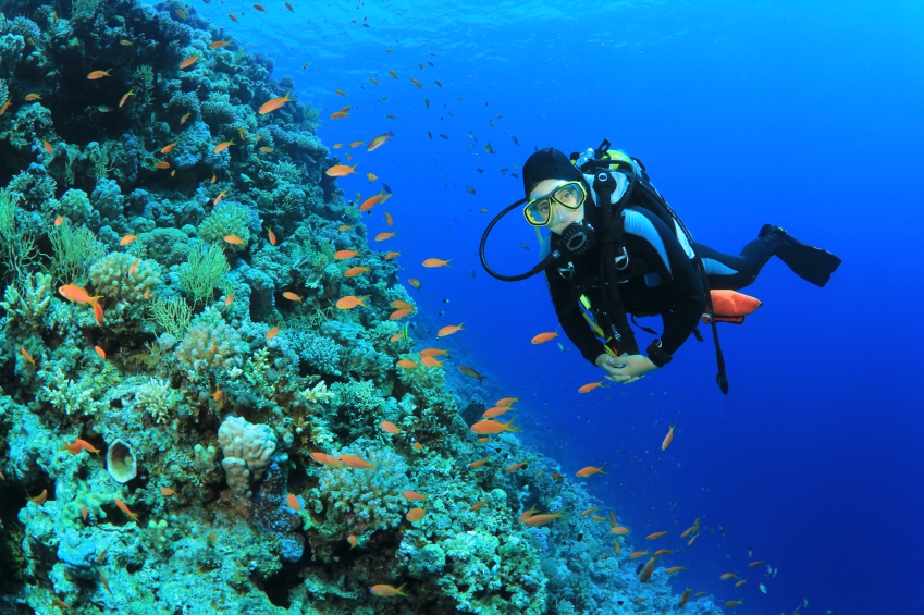 Scuba Diver in clear blue water surrounded by fish