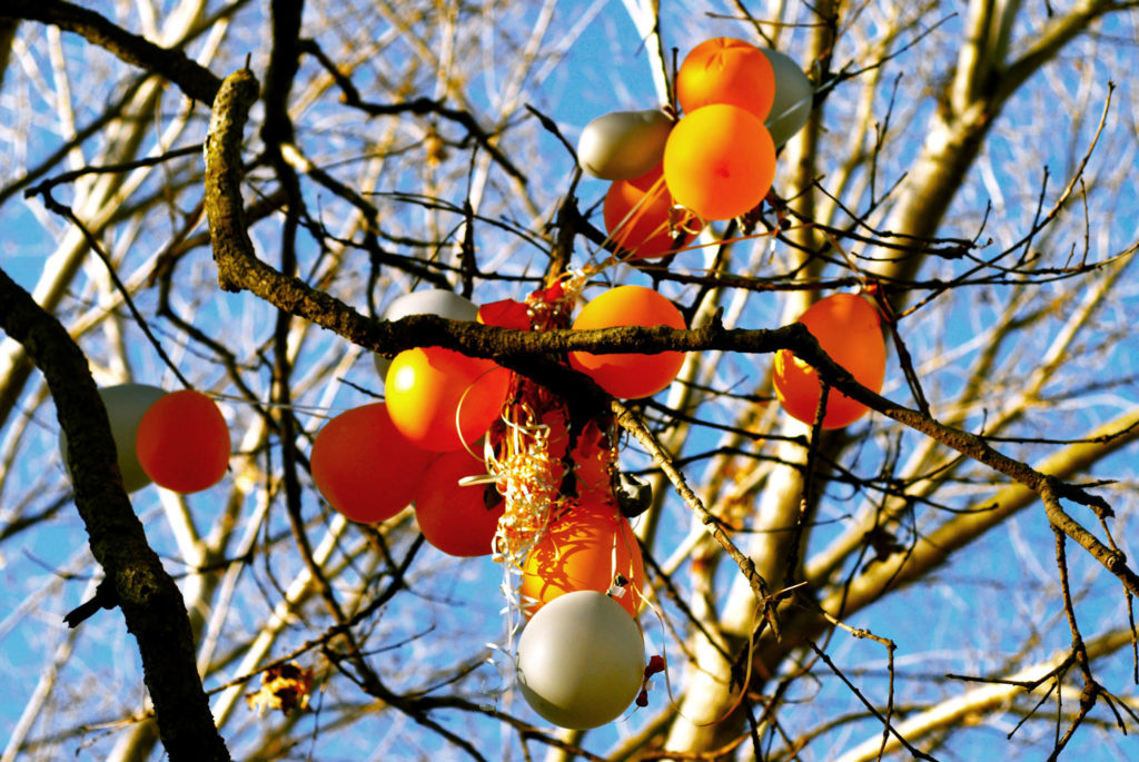 Balloons Stuck in Tree Branches